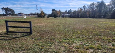 Amazing Potential!  Cleared Commercial lot! With great on Pointe South Golf Club in Georgia - for sale on GolfHomes.com, golf home, golf lot