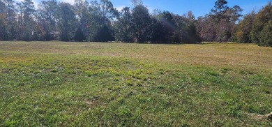 Amazing Potential!  Cleared Commercial lot! With great on Pointe South Golf Club in Georgia - for sale on GolfHomes.com, golf home, golf lot