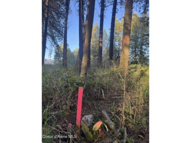 Stoneridge Building Lot available! This .28 acre lot features a on Stoneridge Golf Club in Idaho - for sale on GolfHomes.com, golf home, golf lot