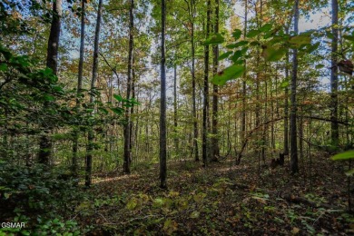 Two adjoining prime building lots consisting of 1.07 acres near on Smoky Mountain Country Club in Tennessee - for sale on GolfHomes.com, golf home, golf lot