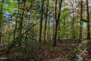 Two adjoining prime building lots consisting of 1.07 acres near on Smoky Mountain Country Club in Tennessee - for sale on GolfHomes.com, golf home, golf lot