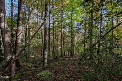 Two adjoining prime building lots consisting of 1.07 acres near on Smoky Mountain Country Club in Tennessee - for sale on GolfHomes.com, golf home, golf lot