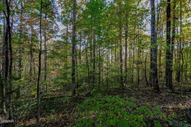 Two adjoining prime building lots consisting of 1.07 acres near on Smoky Mountain Country Club in Tennessee - for sale on GolfHomes.com, golf home, golf lot