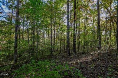 Two adjoining prime building lots consisting of 1.07 acres near on Smoky Mountain Country Club in Tennessee - for sale on GolfHomes.com, golf home, golf lot