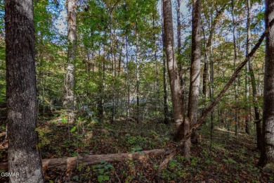 Two adjoining prime building lots consisting of 1.07 acres near on Smoky Mountain Country Club in Tennessee - for sale on GolfHomes.com, golf home, golf lot