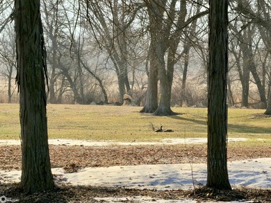 RARE OPPORTUNITY TO OWN ONE OF THE LAST available lots near Rice on  in Iowa - for sale on GolfHomes.com, golf home, golf lot