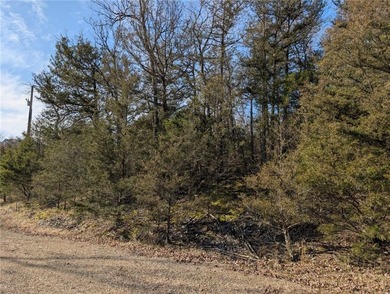 Looking for the perfect spot to build? Tucked away on a peaceful on Holiday Island Golf Course in Arkansas - for sale on GolfHomes.com, golf home, golf lot