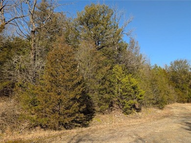 Looking for the perfect spot to build? Tucked away on a peaceful on Holiday Island Golf Course in Arkansas - for sale on GolfHomes.com, golf home, golf lot