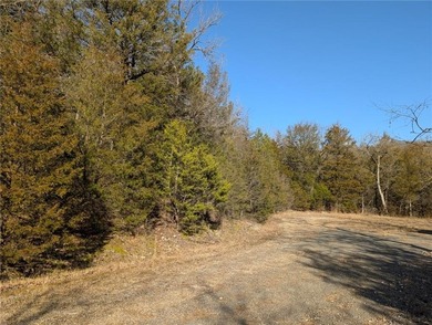 Looking for the perfect spot to build? Tucked away on a peaceful on Holiday Island Golf Course in Arkansas - for sale on GolfHomes.com, golf home, golf lot