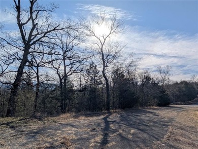 Looking for the perfect spot to build? Tucked away on a peaceful on Holiday Island Golf Course in Arkansas - for sale on GolfHomes.com, golf home, golf lot
