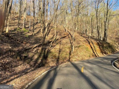 BUILDABLE LOT 4-Acre lot located in North Georgia, mountain on Big Canoe Golf Club - Cherokee in Georgia - for sale on GolfHomes.com, golf home, golf lot