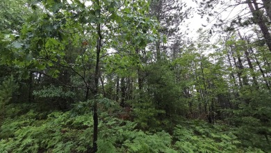Two beautiful wooded parcels available to build your new home or on Wildwood Lakes in Michigan - for sale on GolfHomes.com, golf home, golf lot