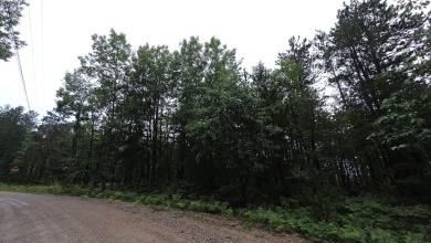 Two beautiful wooded parcels available to build your new home or on Wildwood Lakes in Michigan - for sale on GolfHomes.com, golf home, golf lot