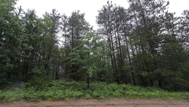Two beautiful wooded parcels available to build your new home or on Wildwood Lakes in Michigan - for sale on GolfHomes.com, golf home, golf lot