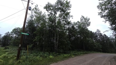 Two beautiful wooded parcels available to build your new home or on Wildwood Lakes in Michigan - for sale on GolfHomes.com, golf home, golf lot