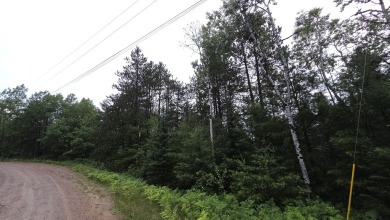 Two beautiful wooded parcels available to build your new home or on Wildwood Lakes in Michigan - for sale on GolfHomes.com, golf home, golf lot
