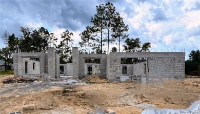 Brand New Quality Built Construction in The Pines at Citrus on Citrus Springs Country Club in Florida - for sale on GolfHomes.com, golf home, golf lot