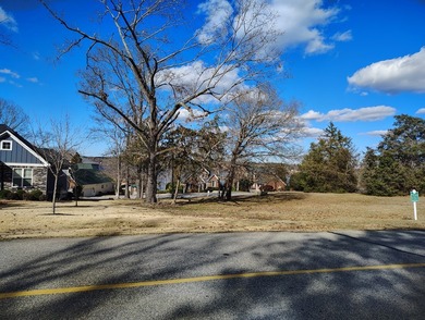 Fantastic Water-view cul-de-sac lot in the Lake Greenwood Stoney on The Links At Stoney Point in South Carolina - for sale on GolfHomes.com, golf home, golf lot