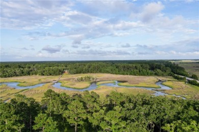 Gorgeous .723-acre lot w/161 ft of pristine marsh front offers on Sapelo Hammock Golf Club in Georgia - for sale on GolfHomes.com, golf home, golf lot