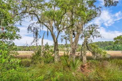 Gorgeous .723-acre lot w/161 ft of pristine marsh front offers on Sapelo Hammock Golf Club in Georgia - for sale on GolfHomes.com, golf home, golf lot