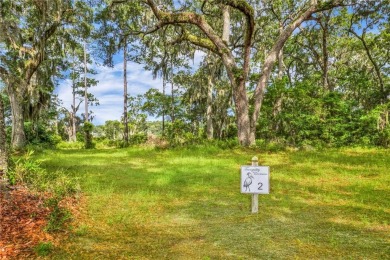 Gorgeous .723-acre lot w/161 ft of pristine marsh front offers on Sapelo Hammock Golf Club in Georgia - for sale on GolfHomes.com, golf home, golf lot