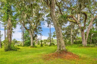 Gorgeous .723-acre lot w/161 ft of pristine marsh front offers on Sapelo Hammock Golf Club in Georgia - for sale on GolfHomes.com, golf home, golf lot