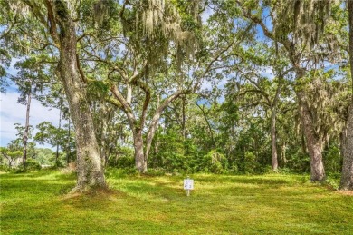 Gorgeous .723-acre lot w/161 ft of pristine marsh front offers on Sapelo Hammock Golf Club in Georgia - for sale on GolfHomes.com, golf home, golf lot