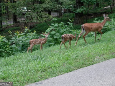 Invest now or Build Your Mountain Retreat in Bent Tree. Don't on Bent Tree Golf Course in Georgia - for sale on GolfHomes.com, golf home, golf lot