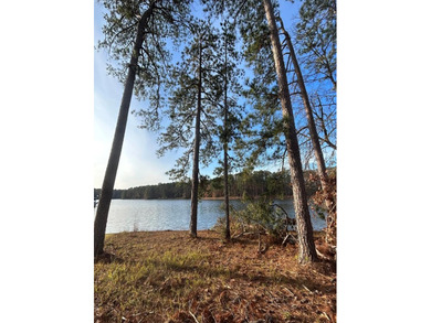 Welcome to Lake Greenwood. a 11,500 acre paradise. Boat to five on The Patriot Golf Club At Grand Harbor in South Carolina - for sale on GolfHomes.com, golf home, golf lot