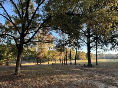 Welcome to your dream retreat nestled behind beautiful gated on Pine Valley Golf Course in Arkansas - for sale on GolfHomes.com, golf home, golf lot