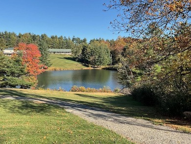 This charming Skyland Lakes Golf Community home is immaculate on Skyland Lakes Golf Course in Virginia - for sale on GolfHomes.com, golf home, golf lot