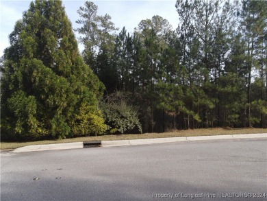 This beautiful waterfront property is located inside of the on Anderson Creek Golf Club in North Carolina - for sale on GolfHomes.com, golf home, golf lot