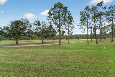 Impeccable, Energy-Efficient Home on Prime Golf Course & Lake on The Golf Club of Cypress Creek in Florida - for sale on GolfHomes.com, golf home, golf lot