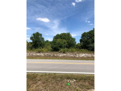 An excellent choice for builders and investors.  This property on Deep Creek Golf Club in Florida - for sale on GolfHomes.com, golf home, golf lot