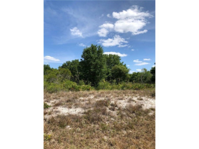An excellent choice for builders and investors.  This property on Deep Creek Golf Club in Florida - for sale on GolfHomes.com, golf home, golf lot