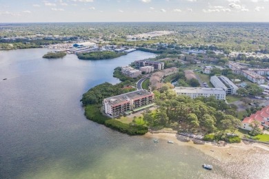 Under contract-accepting backup offers. Room to Roam in this on The Dunedin Country Club in Florida - for sale on GolfHomes.com, golf home, golf lot