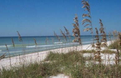 Under contract-accepting backup offers. Room to Roam in this on The Dunedin Country Club in Florida - for sale on GolfHomes.com, golf home, golf lot