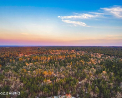 54.5 Acres of Prime Residential Land - Bordering Deercroft Golf on Deercroft Golf and Country Club in North Carolina - for sale on GolfHomes.com, golf home, golf lot