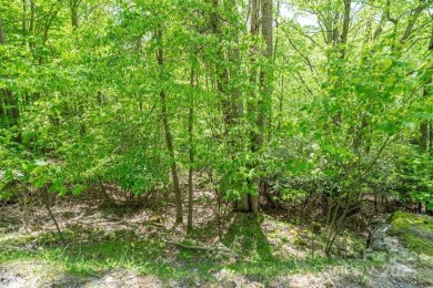 Dreaming of building a cabin in the mountains for your weekend on Beech Mountain Club in North Carolina - for sale on GolfHomes.com, golf home, golf lot