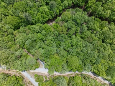 Dreaming of building a cabin in the mountains for your weekend on Beech Mountain Club in North Carolina - for sale on GolfHomes.com, golf home, golf lot