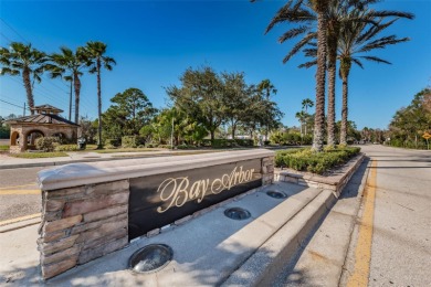 HIGH AND DRY IN OLDSMAR with NO FLOOD INSURANCE REQUIRED and NO on East Lake Woodlands Country Club in Florida - for sale on GolfHomes.com, golf home, golf lot