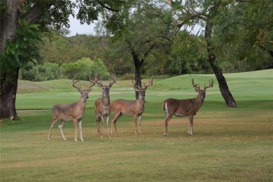 Amazing opportunity to purchase a 1.2 ac in a very nice section on White Bluff Resort - New Course in Texas - for sale on GolfHomes.com, golf home, golf lot