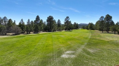 Chase K Girard, Ponderosa Real Estate The Source For Real Estate on The Divide Ranch and Club in Colorado - for sale on GolfHomes.com, golf home, golf lot