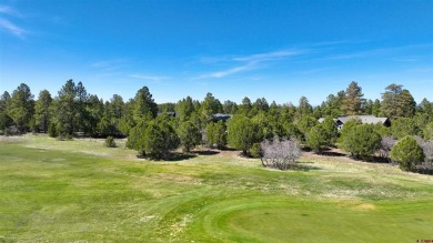 Chase K Girard, Ponderosa Real Estate The Source For Real Estate on The Divide Ranch and Club in Colorado - for sale on GolfHomes.com, golf home, golf lot