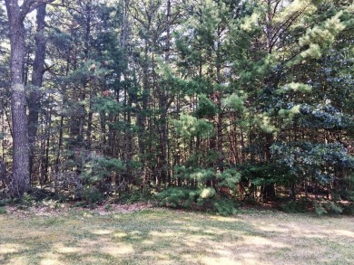 Great opportunity to build your dream home on White Deer Golf on White Deer Country Club in Michigan - for sale on GolfHomes.com, golf home, golf lot