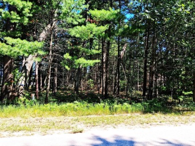 Great opportunity to build your dream home on White Deer Golf on White Deer Country Club in Michigan - for sale on GolfHomes.com, golf home, golf lot
