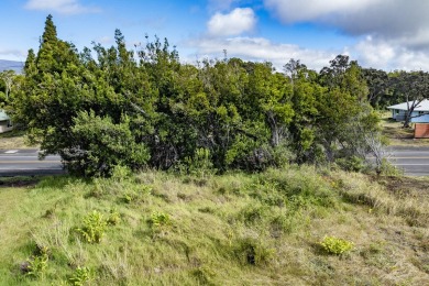 Rarely available,  in the newer increment IV. this oversized ( on Volcano Golf and Country Club in Hawaii - for sale on GolfHomes.com, golf home, golf lot