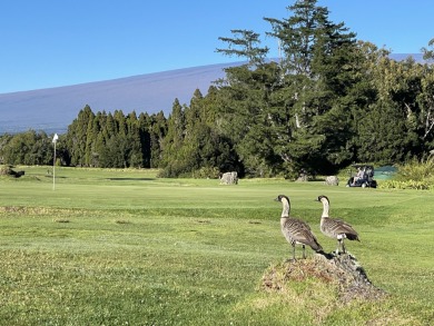 Rarely available,  in the newer increment IV. this oversized ( on Volcano Golf and Country Club in Hawaii - for sale on GolfHomes.com, golf home, golf lot