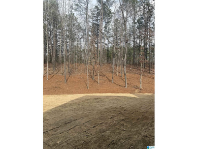 Situated on the Robert Trent Jones Ross Bridge golf course- This on Ross Bridge Golf Resort in Alabama - for sale on GolfHomes.com, golf home, golf lot