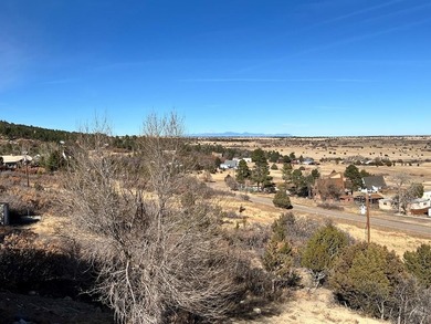 Incredible views of Lake Beckwith from the deck of this spacious on Hollydot Golf Course in Colorado - for sale on GolfHomes.com, golf home, golf lot